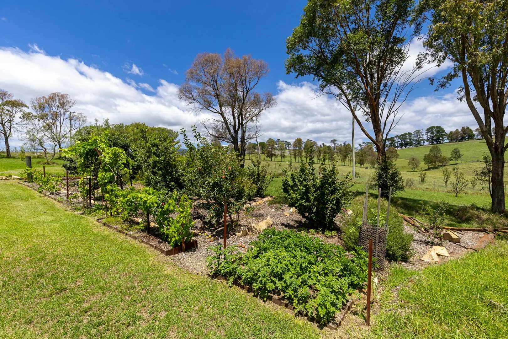 Additional image 29 of 371 Towridgee Lane, Candelo NSW 2550