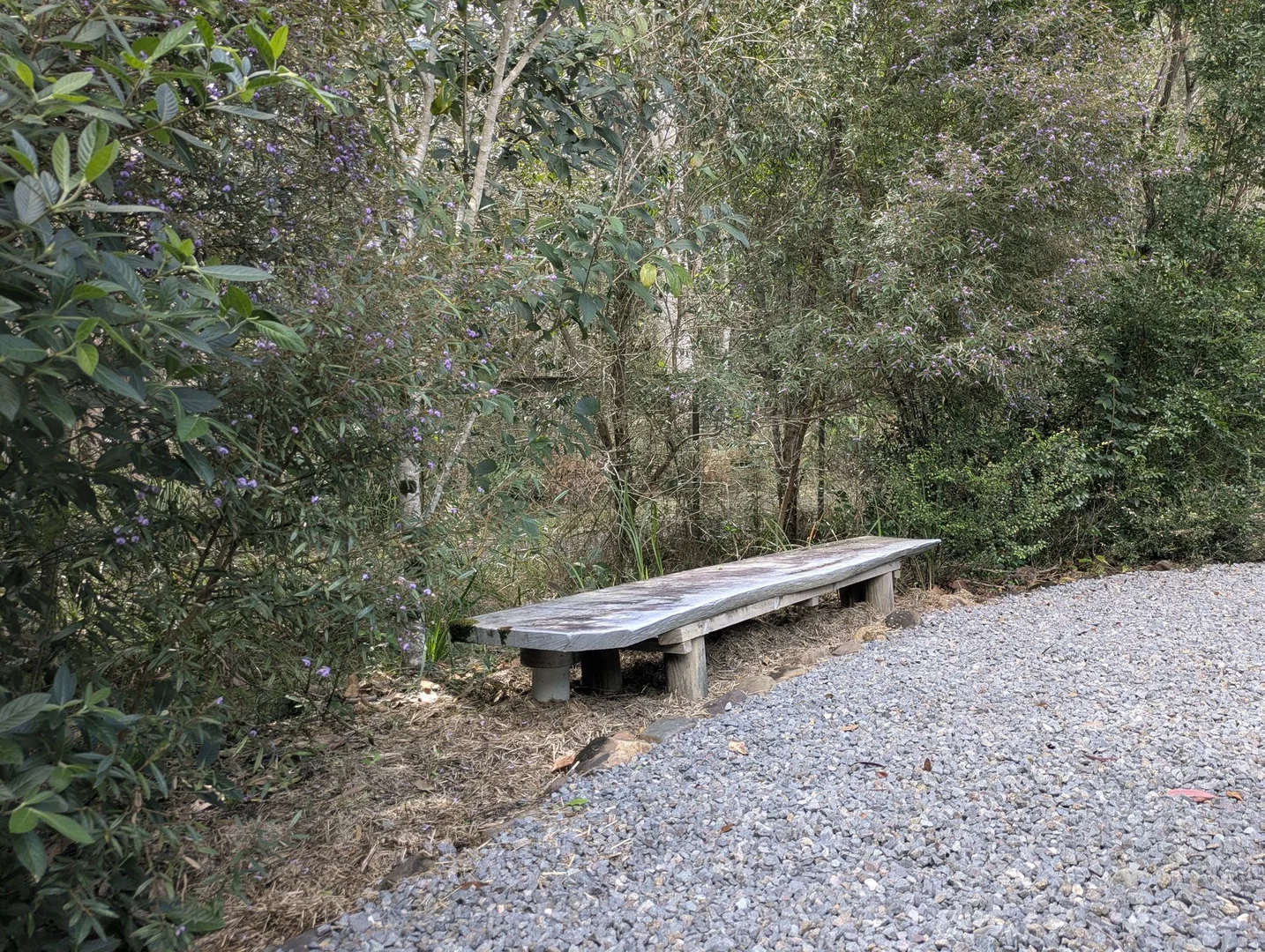 Additional image 32 of 36 Moorhen Place, Noosaville QLD 4566