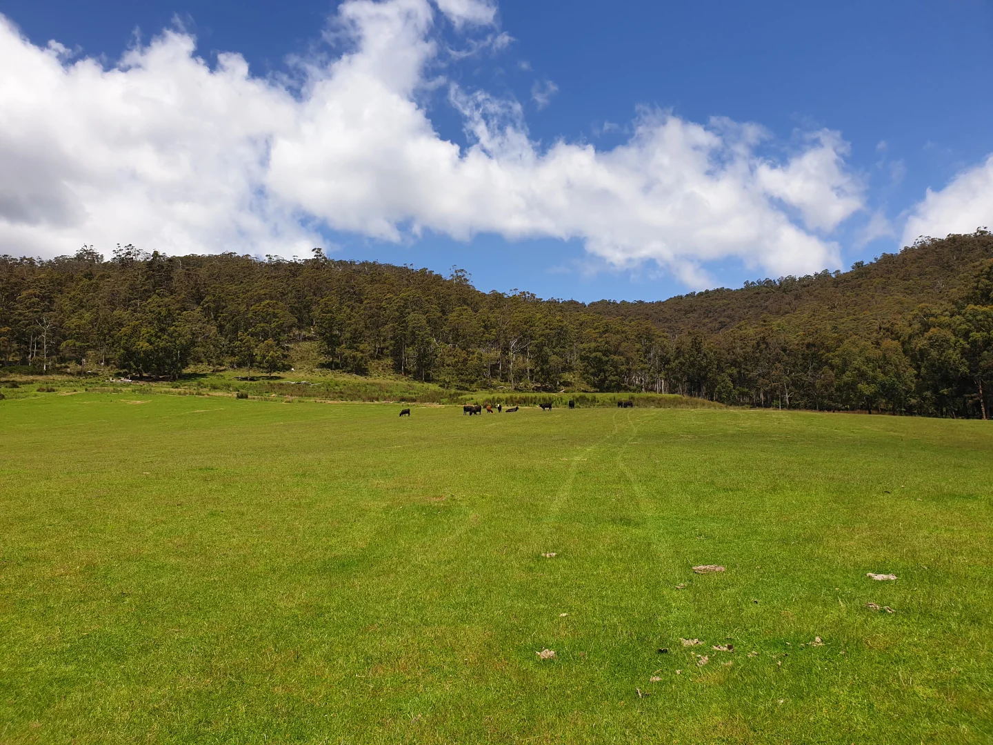 Additional image 4 of 10 Cross Road, Nicholls Rivulet TAS 7112