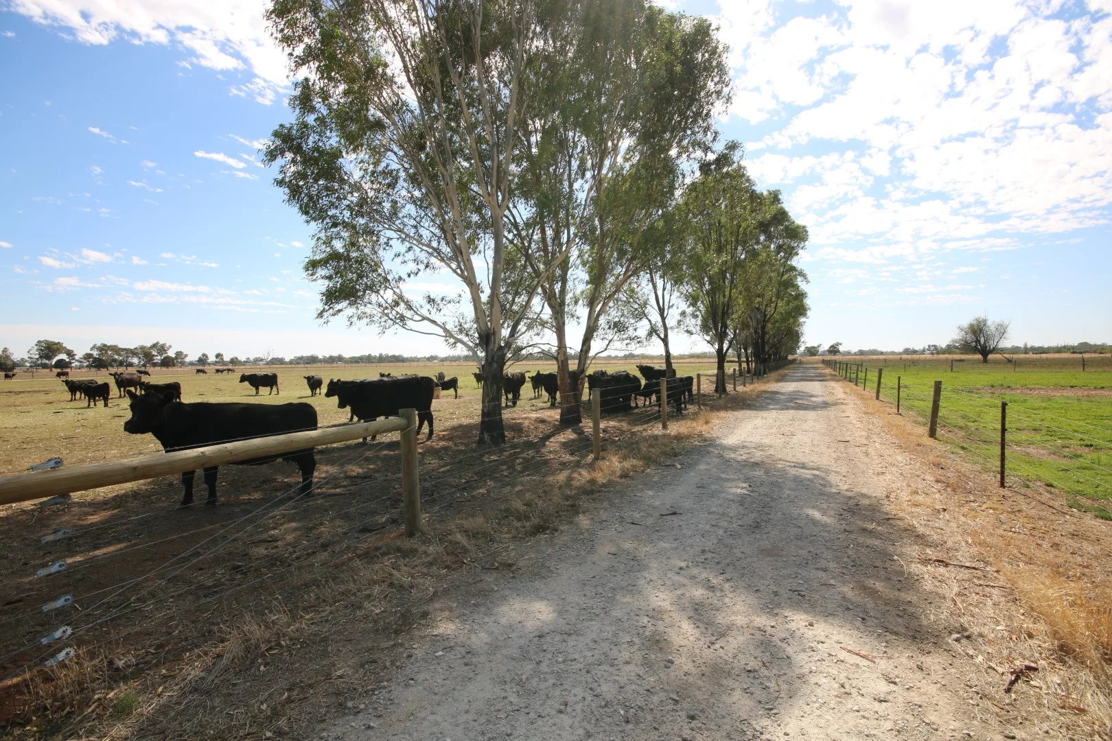 1480 Fennaughty Road, Merrigum VIC 3618