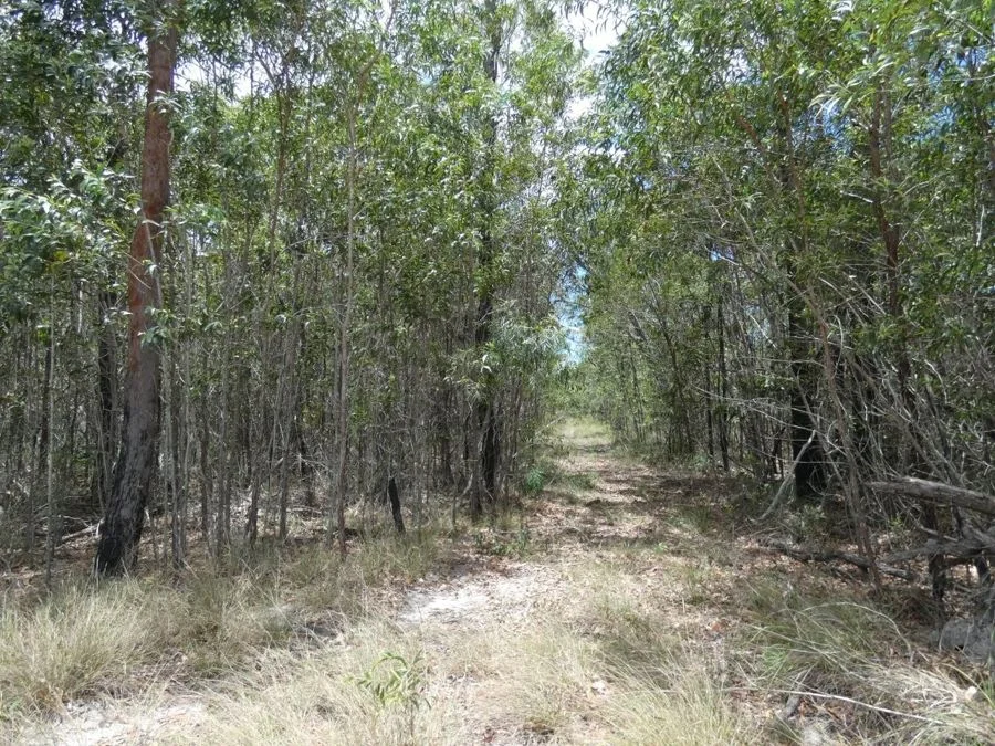 Additional image 2 of 668 Matchbox Road, Deepwater QLD 4674