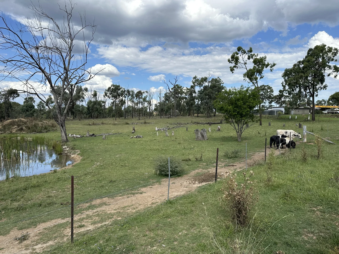 Additional image 25 of 8225 Toowoomba-Karara Road, Karara QLD 4352