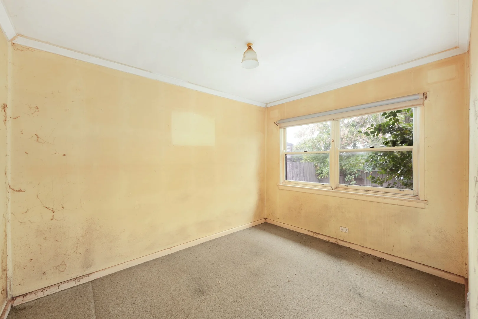 Additional image 5 of 49 Wilson Street, Braidwood NSW 2622