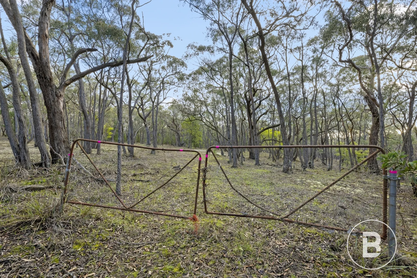 Additional image 3 of CA 42 Quilliams Road, Carngham VIC 3351