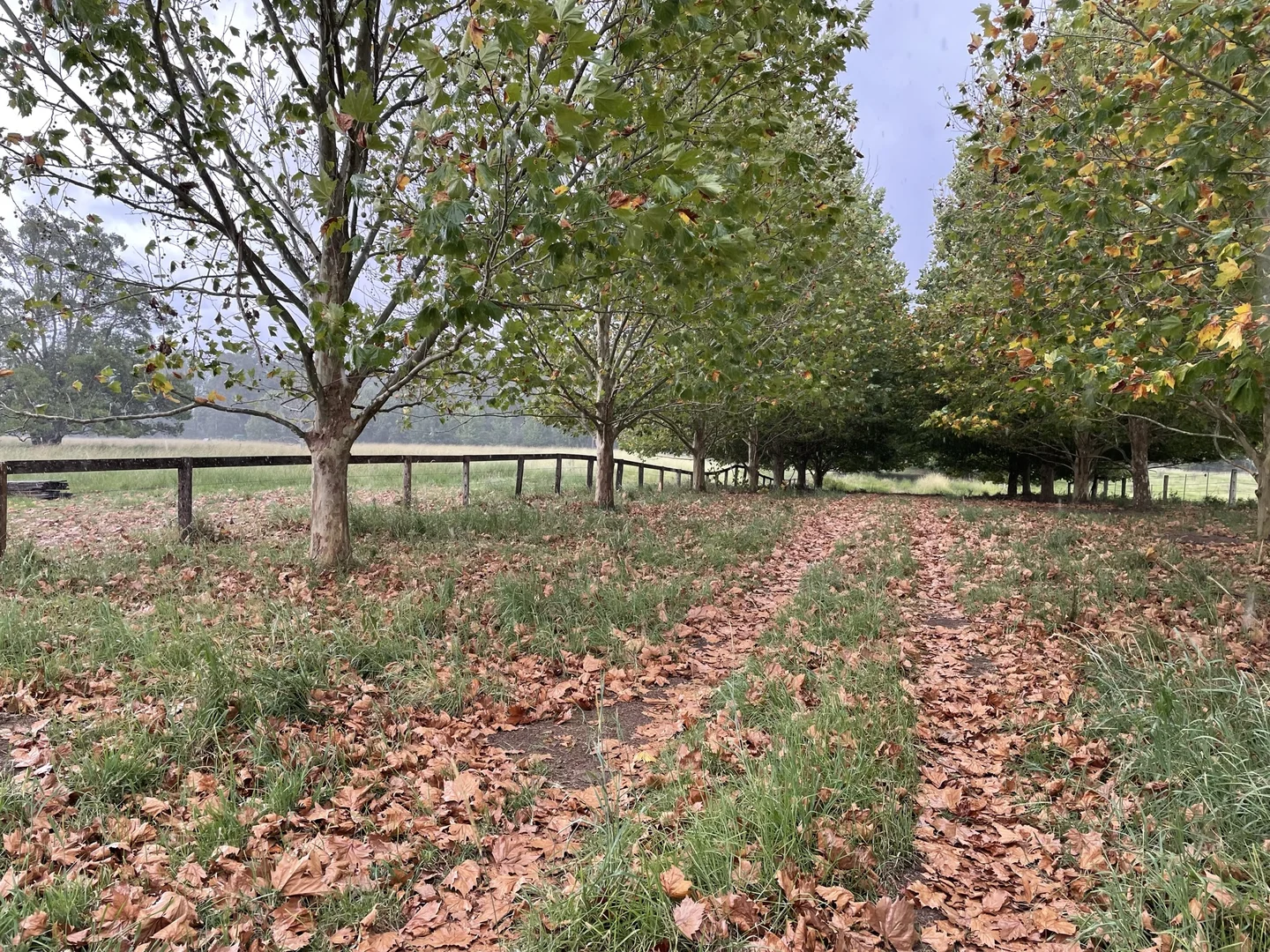 Additional image 4 of 1554 & 1598 Rollands Plains Road, Rollands Plains NSW 2441