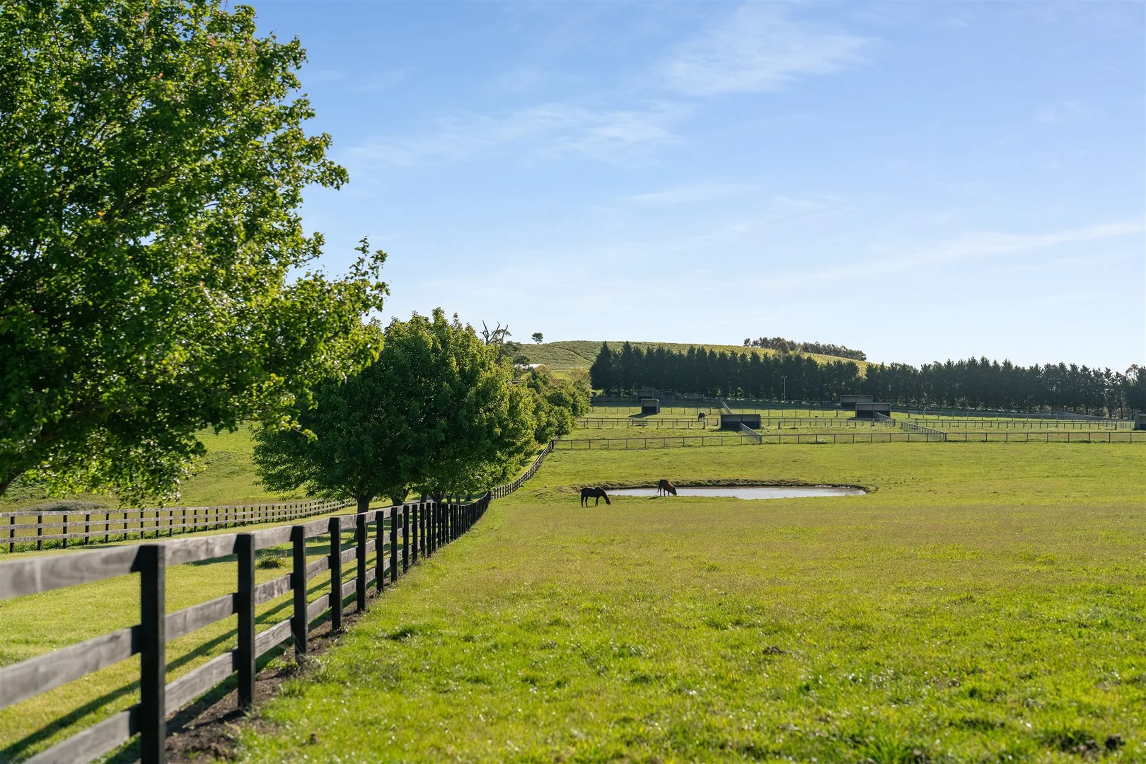 Additional image 27 of 62 Bibby's Lane, Werai NSW 2577