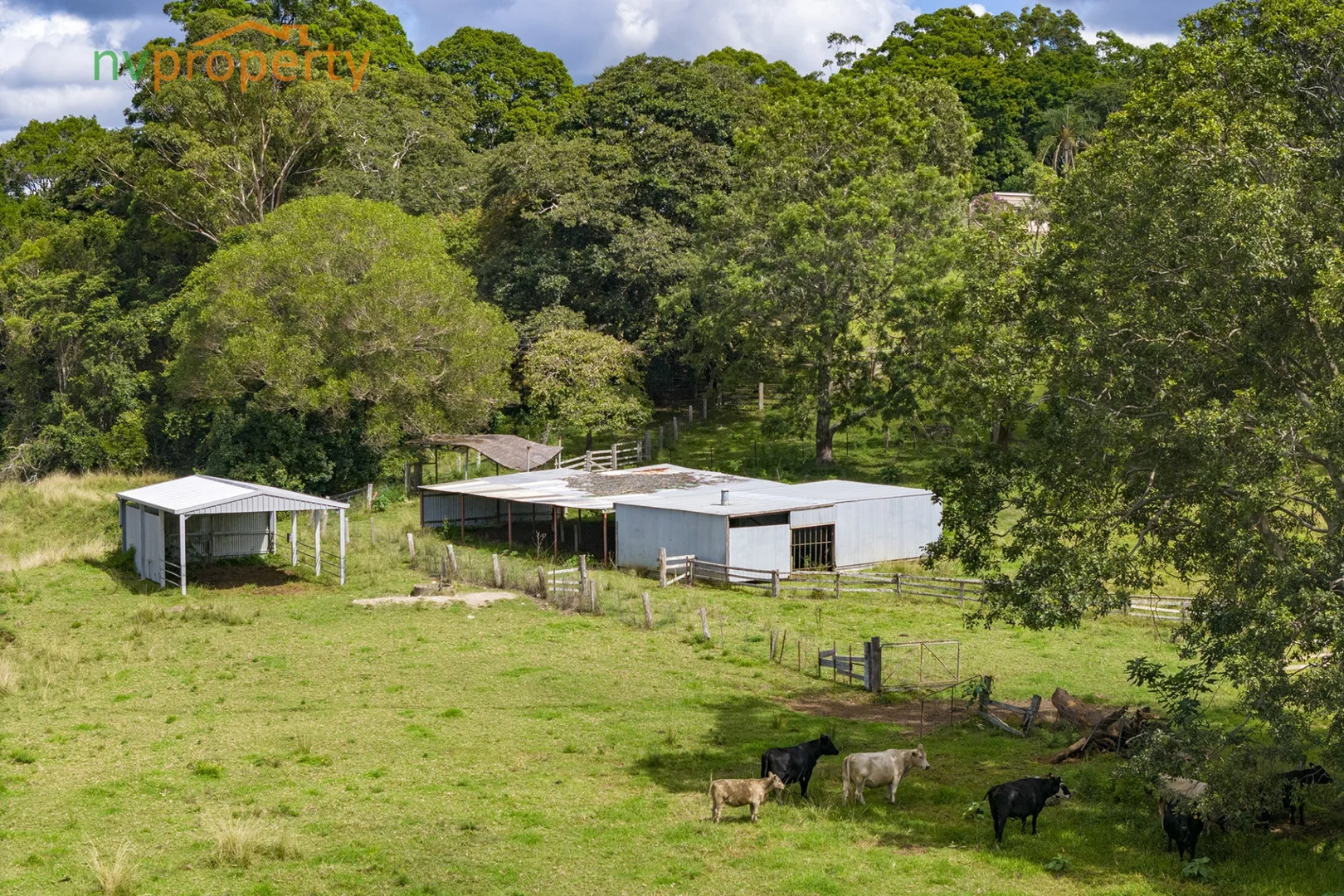 Additional image 24 of 76 Maple Road, Yarrahapinni NSW 2441