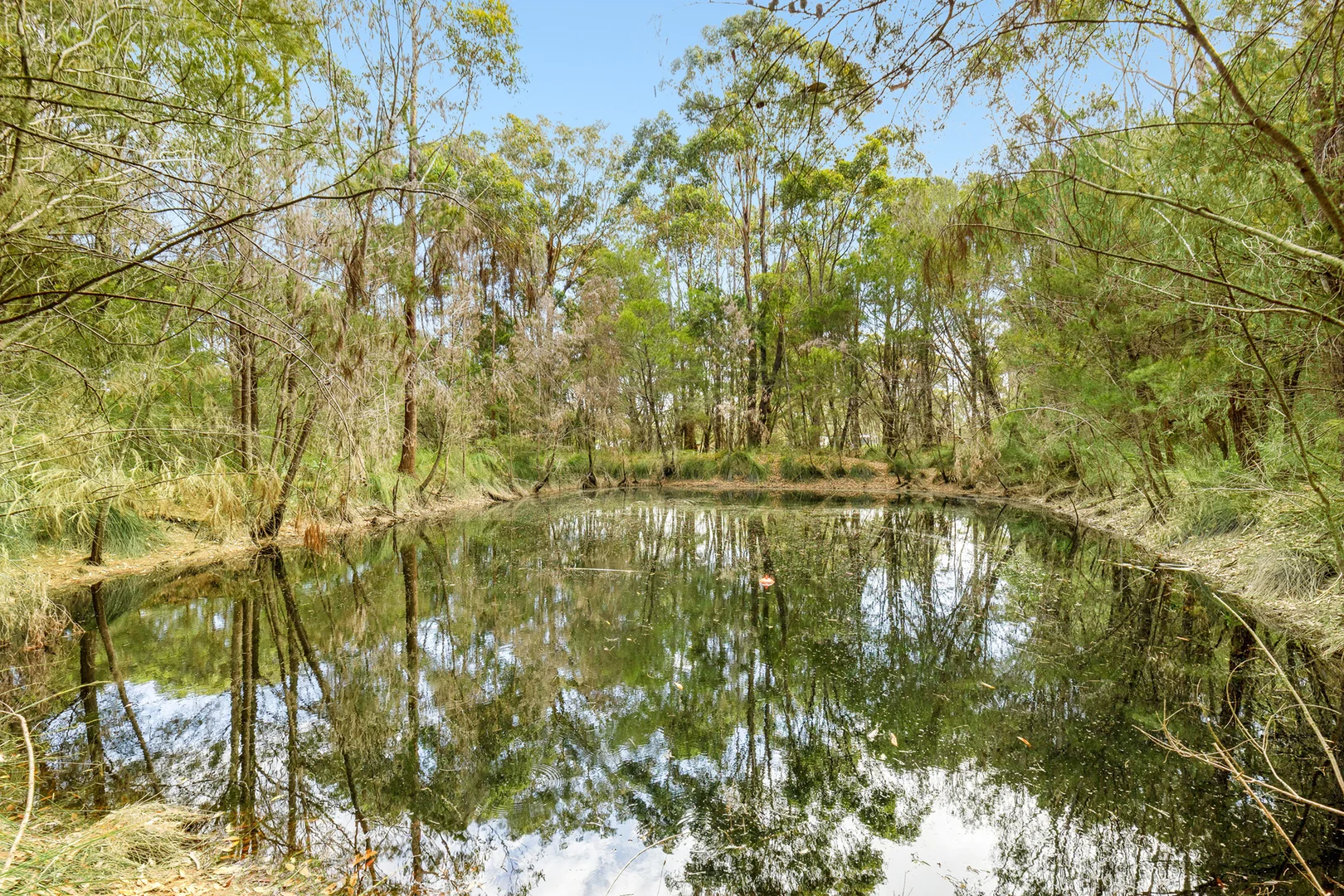 Additional image 23 of 1249 Congo Road, Moruya NSW 2537