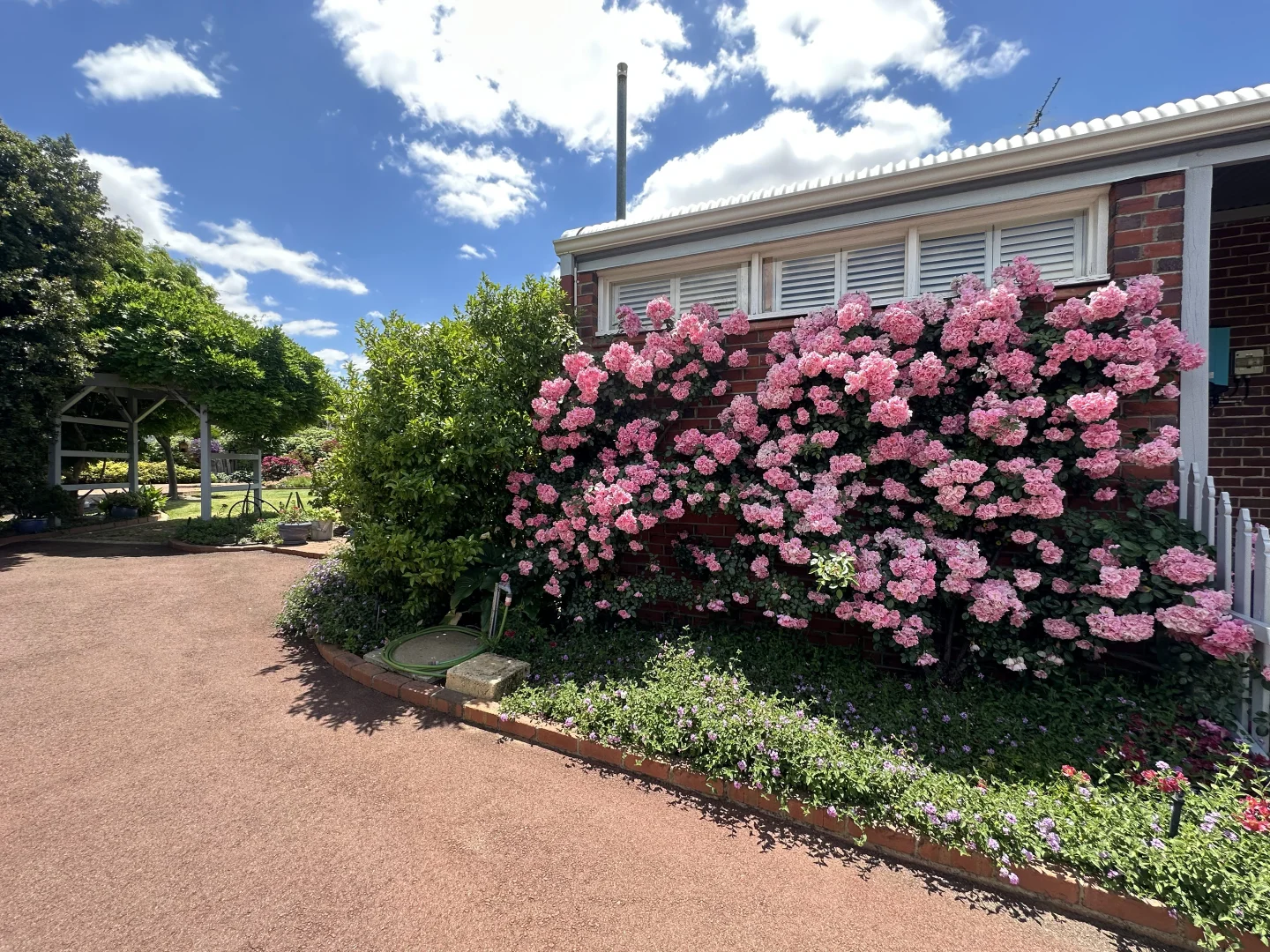 Additional image 5 of 7 Ware Street, Wagin WA 6315