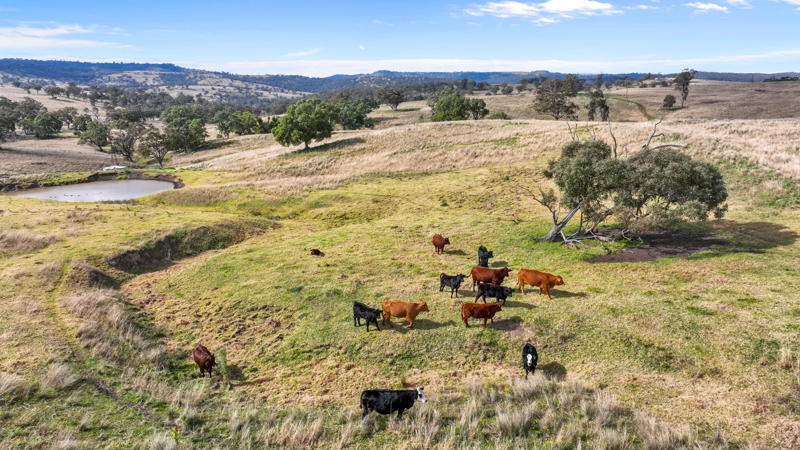 Additional image 7 of 2741 Bunnan Road, Bunnan NSW 2337