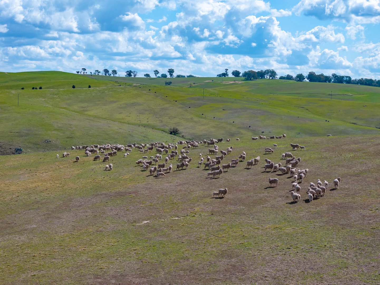 Additional image 14 of 1185 Golspie Road, Golspie NSW 2580