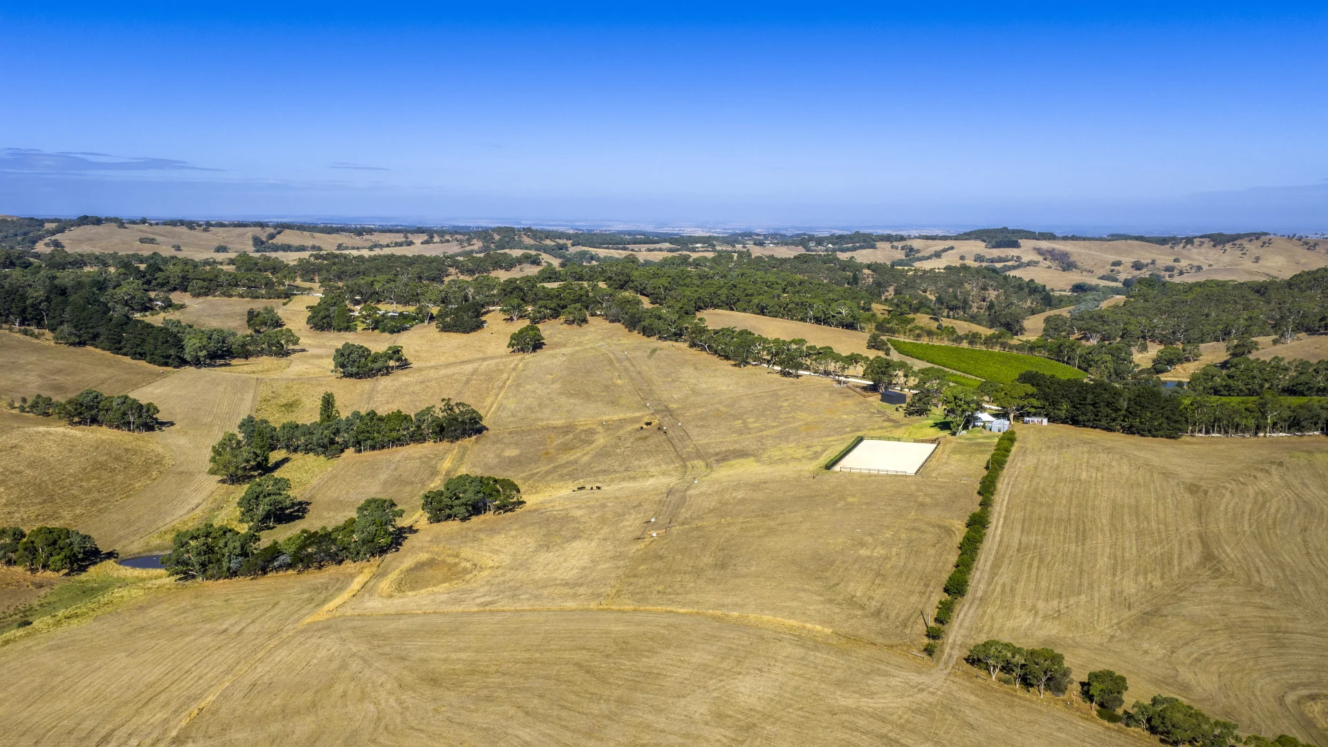 Additional image 76 of 224 Nicol Road, Meadows SA 5201