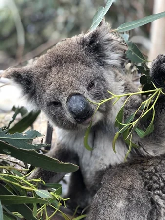 Additional image 22 of 490 East West Two Highway, Seddon SA 5223