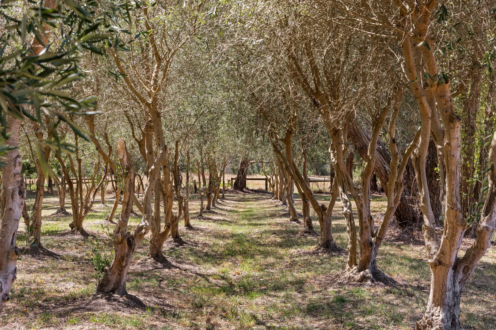 Additional image 14 of 3650 Frankston Flinders Road, Merricks VIC 3916