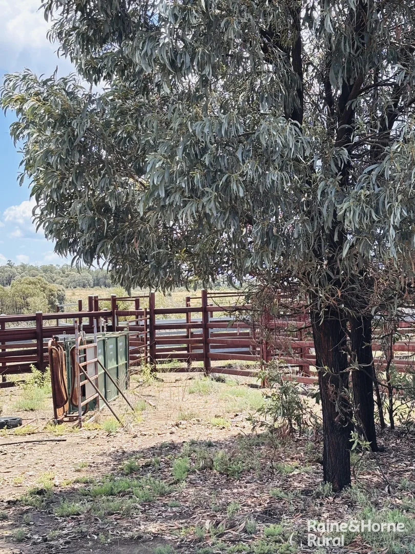 Additional image 15 of 330 Burrow Downs Road, Injune QLD 4454