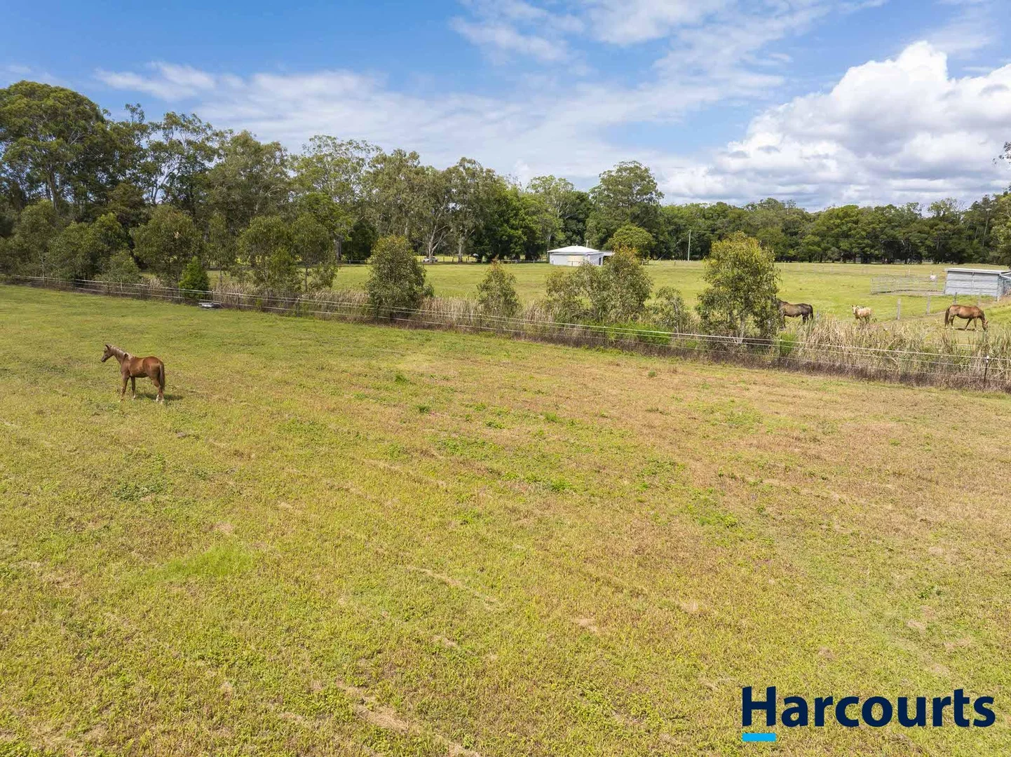 Additional image 57 of 406 Old Bagotville Road, Bagotville NSW 2477