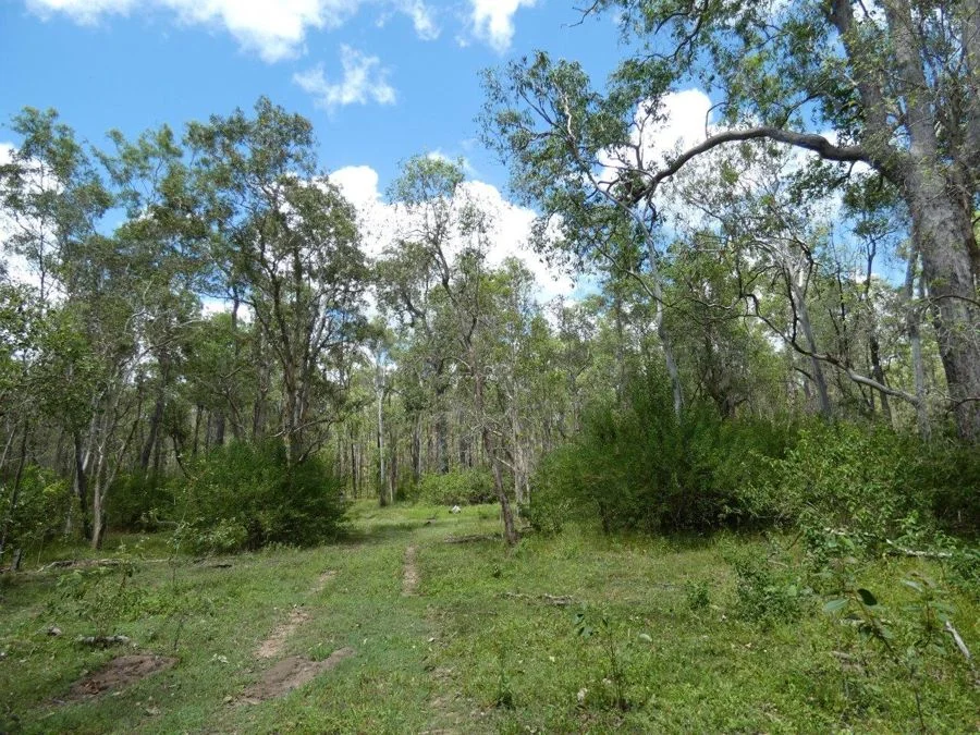 Additional image 30 of 277 Bushlands Road, Bororen QLD 4678