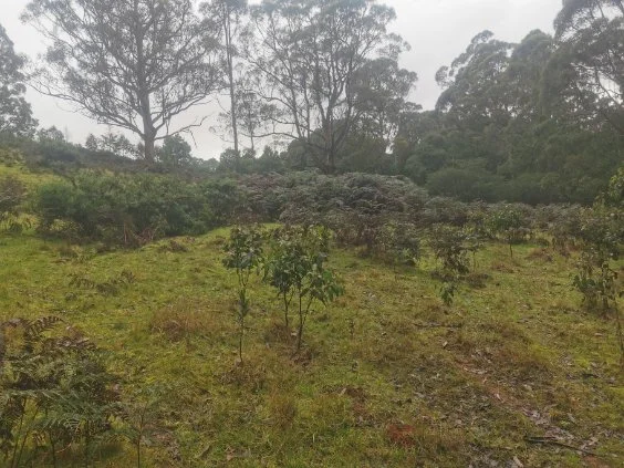 Additional image 9 of 0 Studderds Road, Moorleah TAS 7325