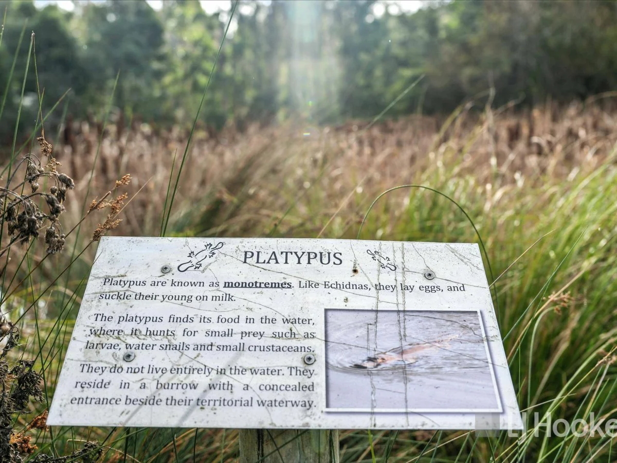 Additional image 22 of 10/13 Junee Road, Maydena TAS 7140