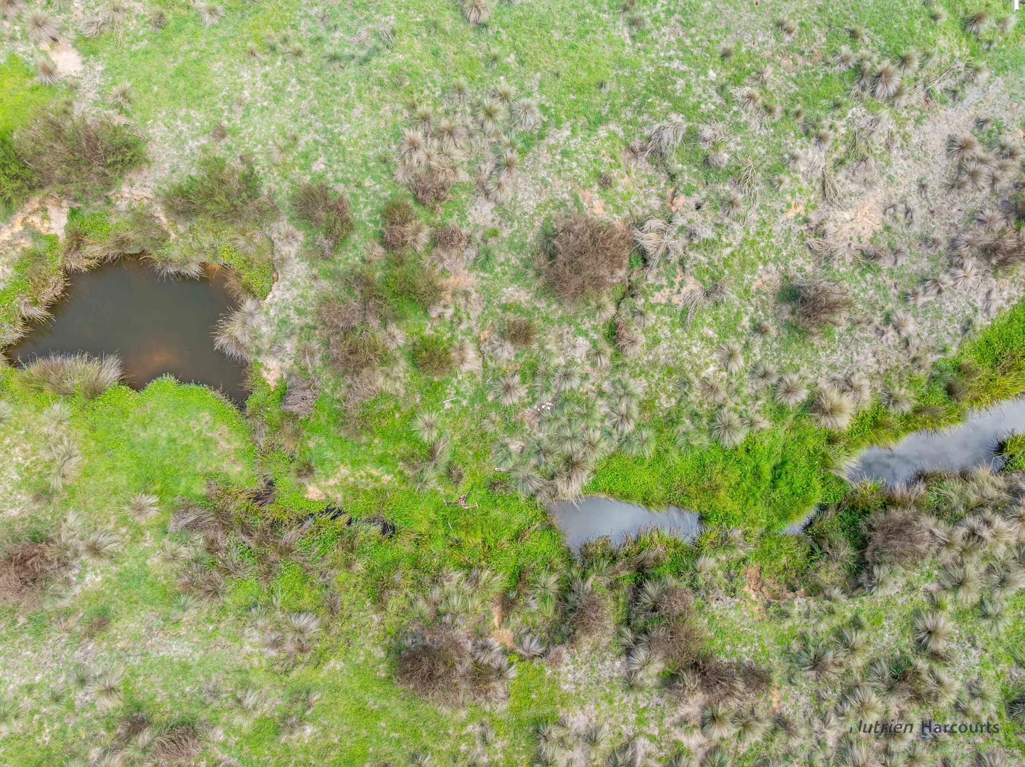 Additional image 6 of 1130 Majors Creek Road, Braidwood NSW 2622