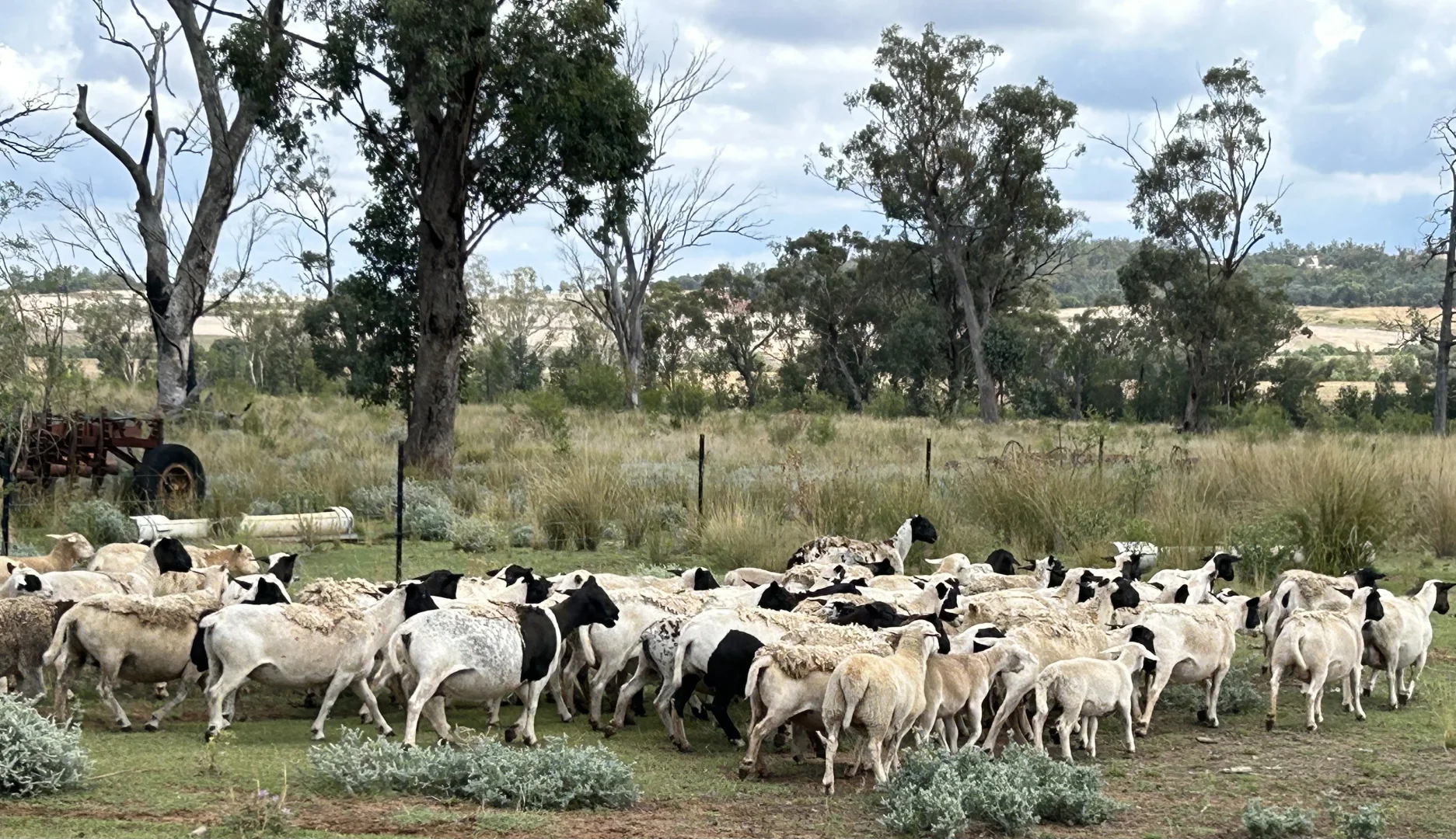 Additional image 2 of 2381. Killarney Gap Road, Narrabri NSW 2390