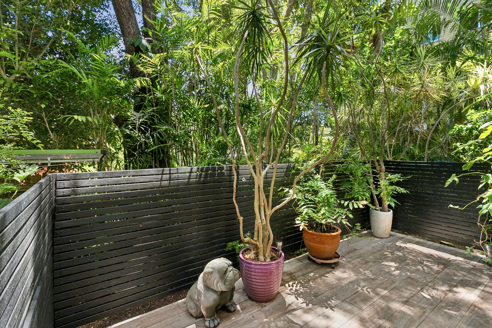 Additional image 11 of 3/29 Dalley Street, Queenscliff NSW 2096