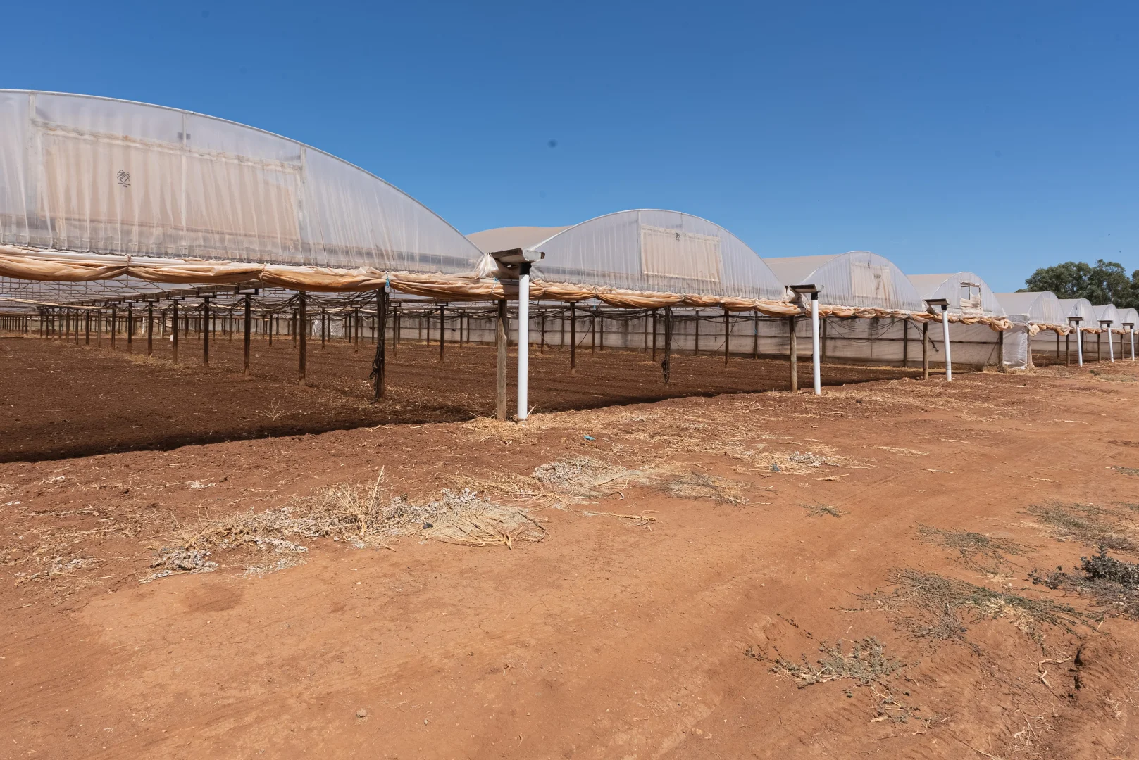 Additional image 12 of 390 & 408 King Road, Virginia SA 5120