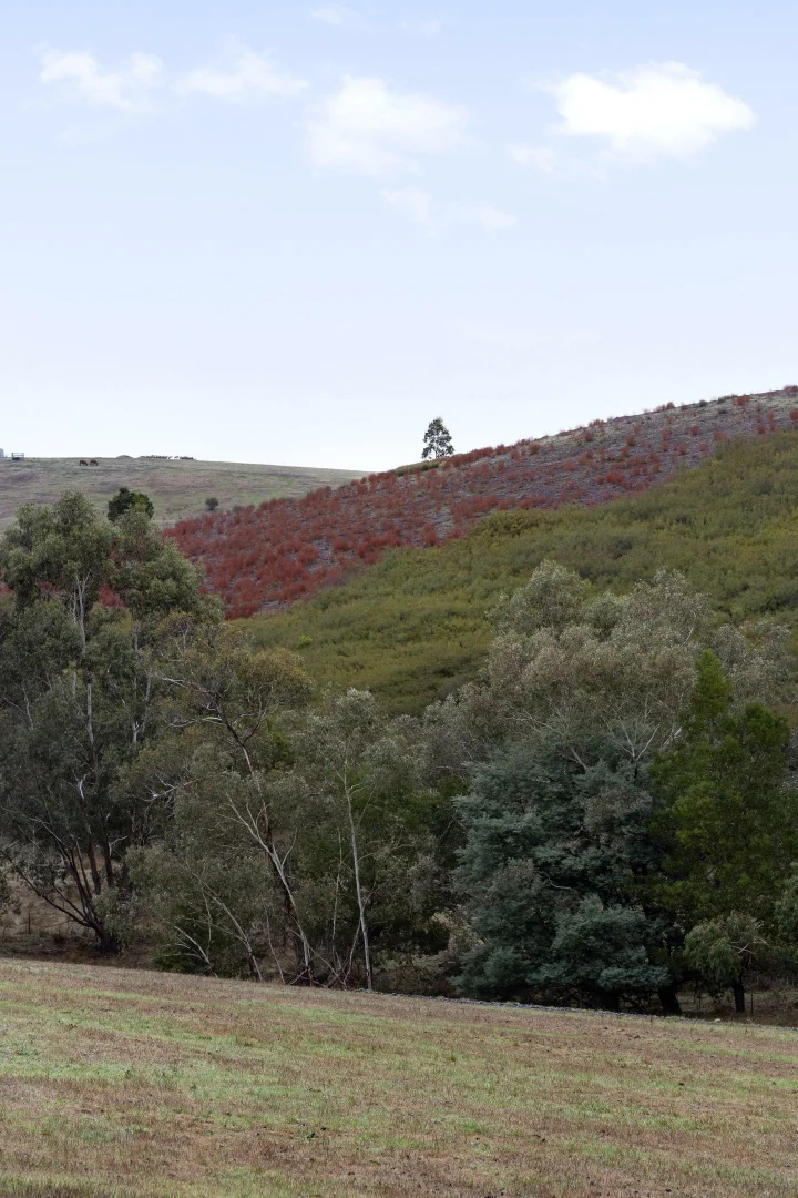 Additional image 19 of 2323 Heidelberg-Kinglake Rd, St Andrews VIC 3761