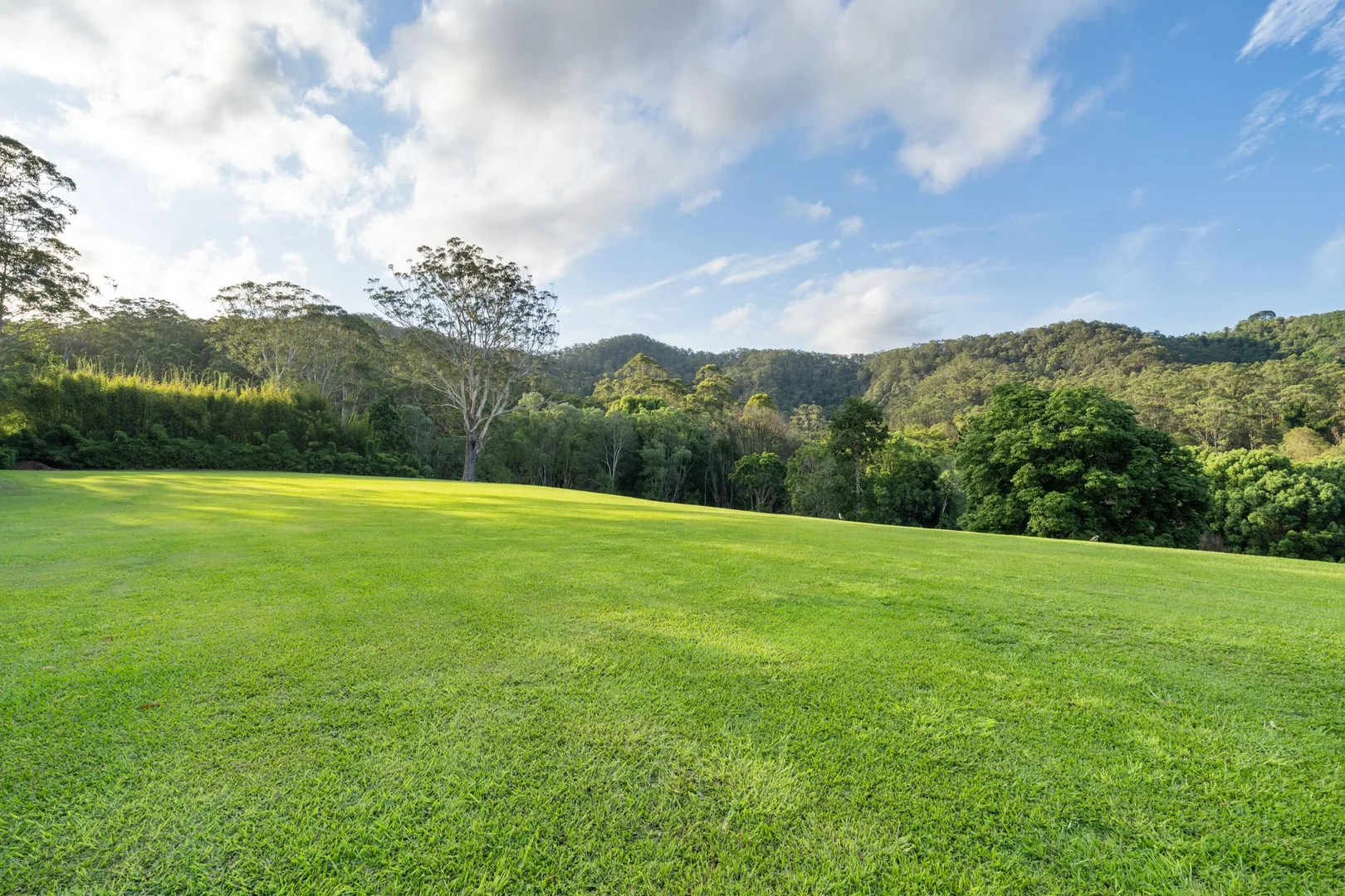 Additional image 7 of 43 Gibsonville Street, Tallebudgera Valley QLD 4228