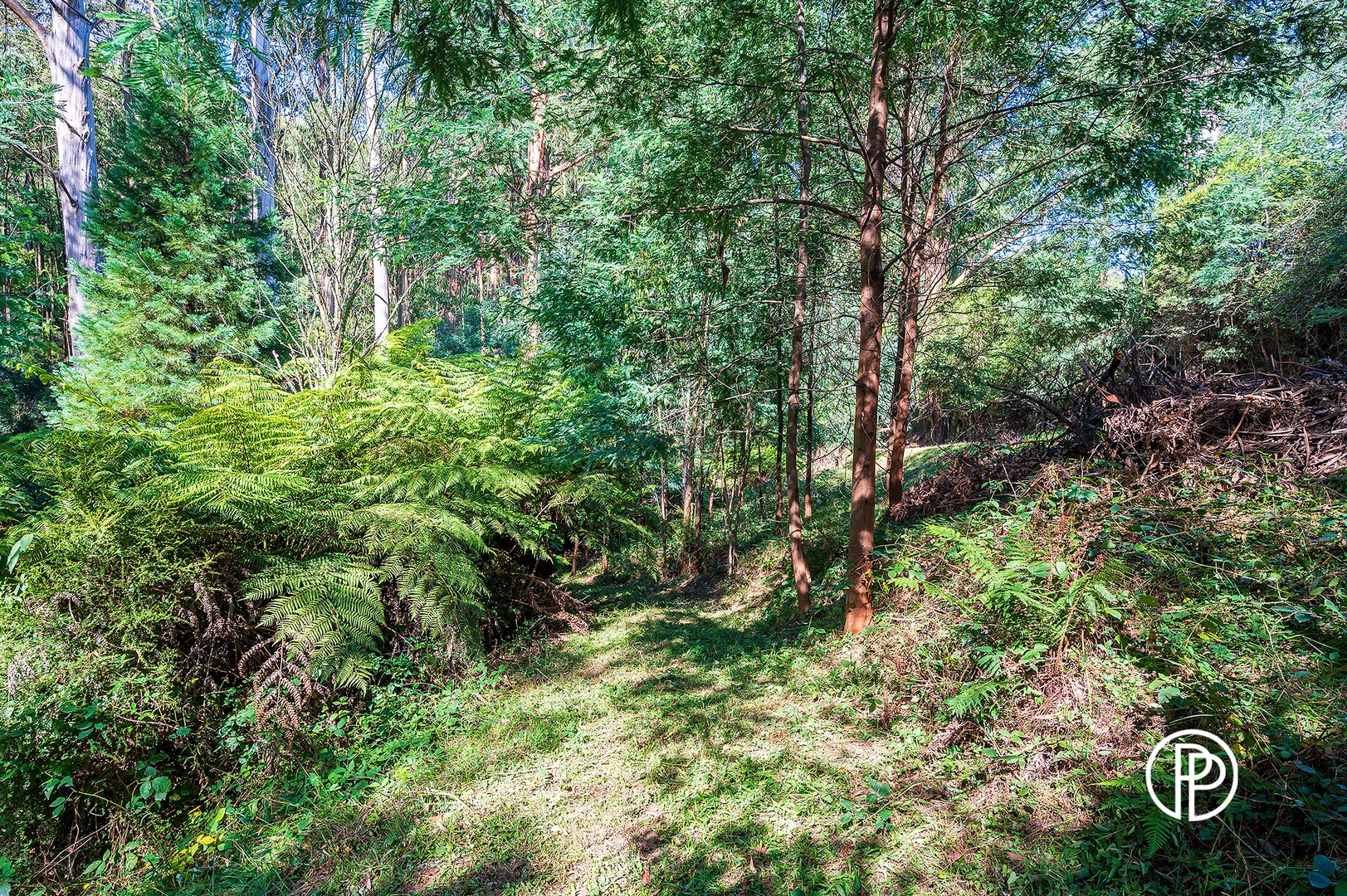 Additional image 16 of 330 Prices Road, Gladysdale VIC 3797