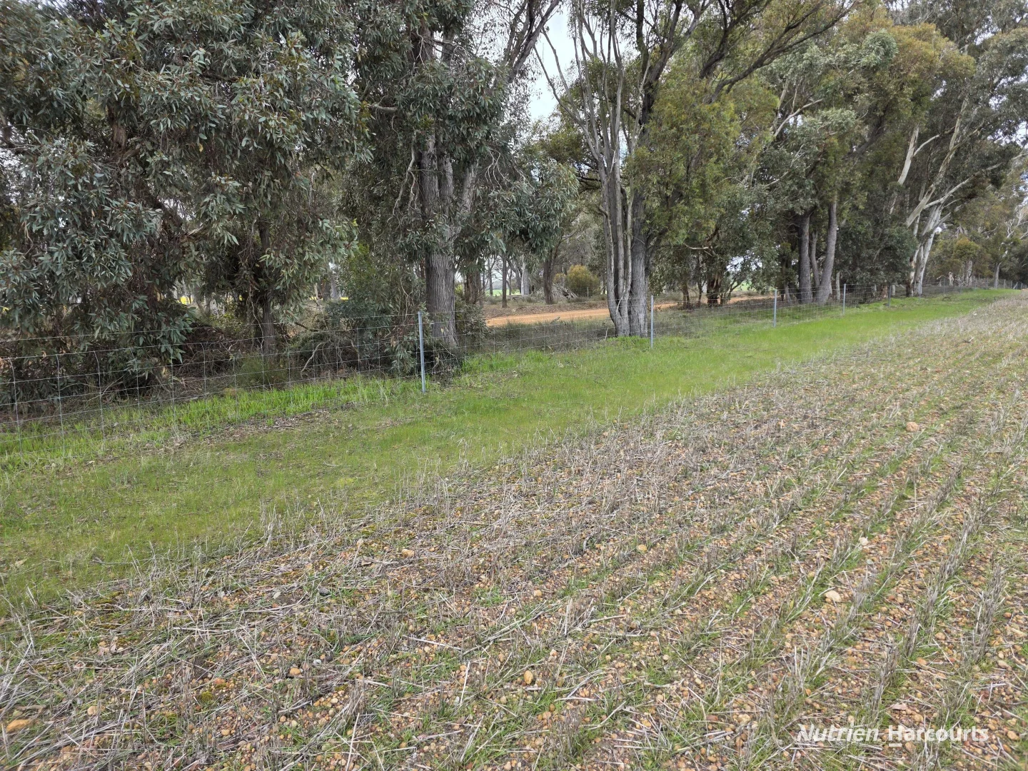 Additional image 21 of Lot 347 Yarralena Road, Cranbrook WA 6321
