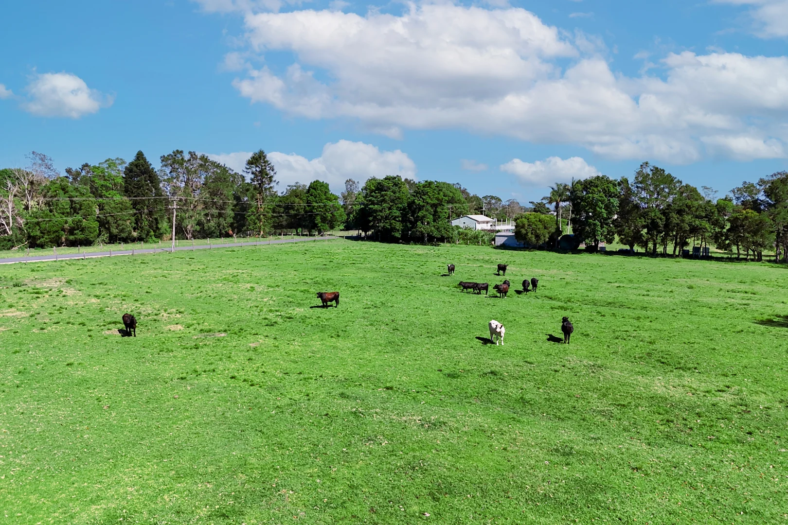 Additional image 4 of 83 Belmore River Right Bank Road, Belmore River NSW 2440