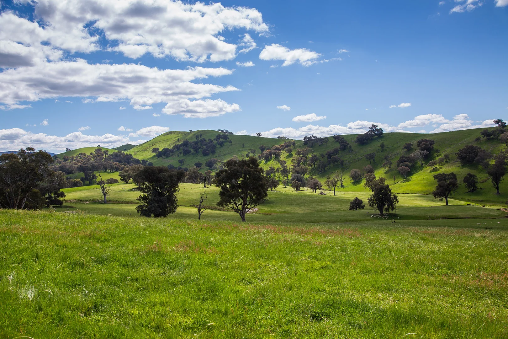 Additional image 12 of Holbrook NSW 2644