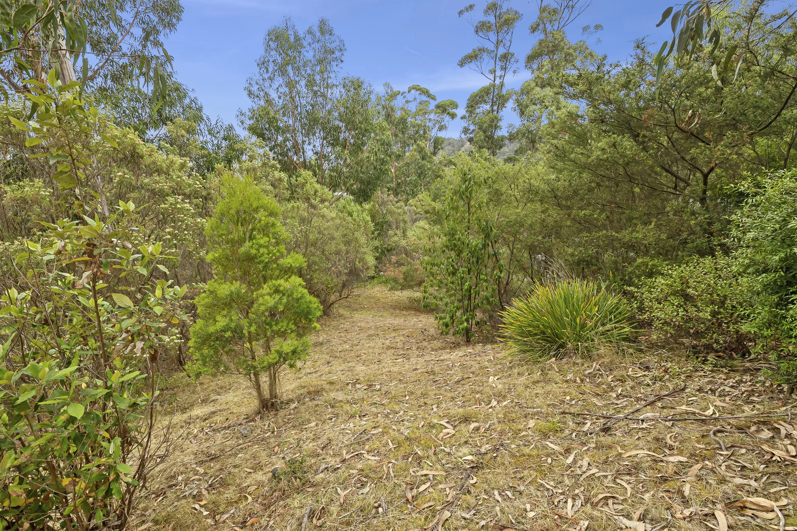 Additional image 3 of 50 Karingal Drive, Wye River VIC 3234