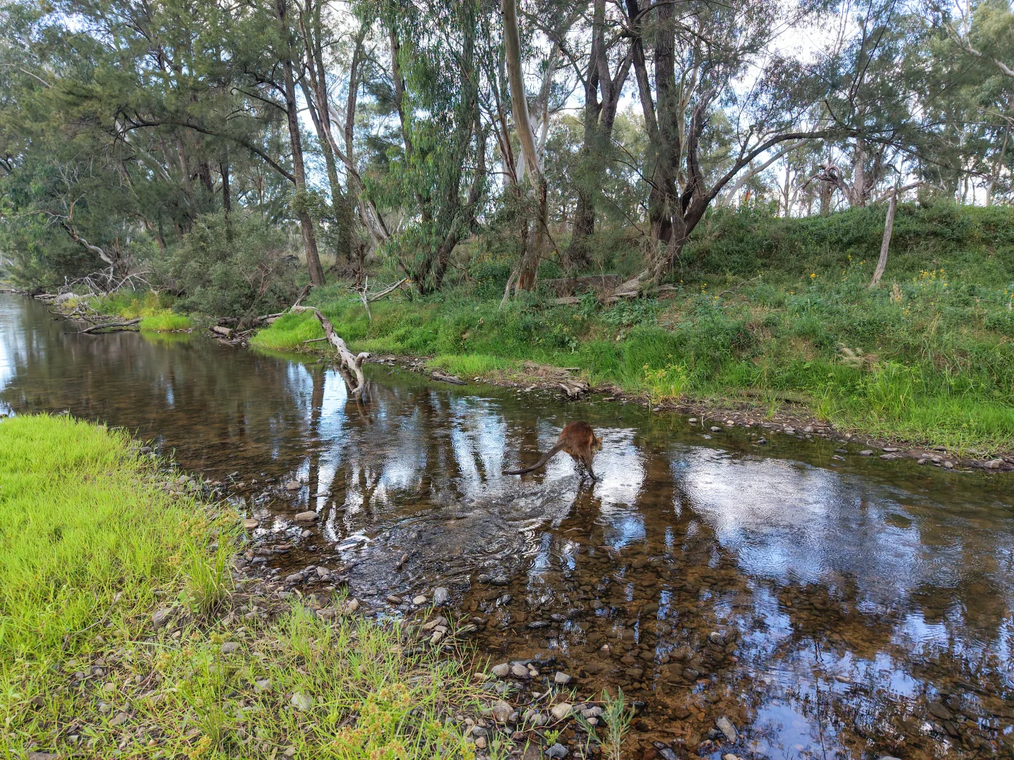 Additional image 7 of Lot 21 Gibraltar Road, Tenterfield NSW 2372