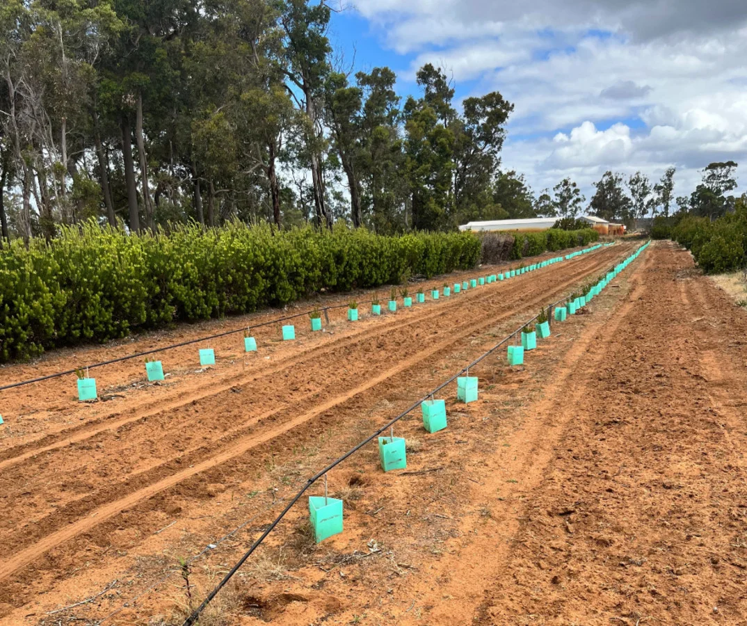 Additional image 34 of 915 Kaloorup Road, Kaloorup WA 6280