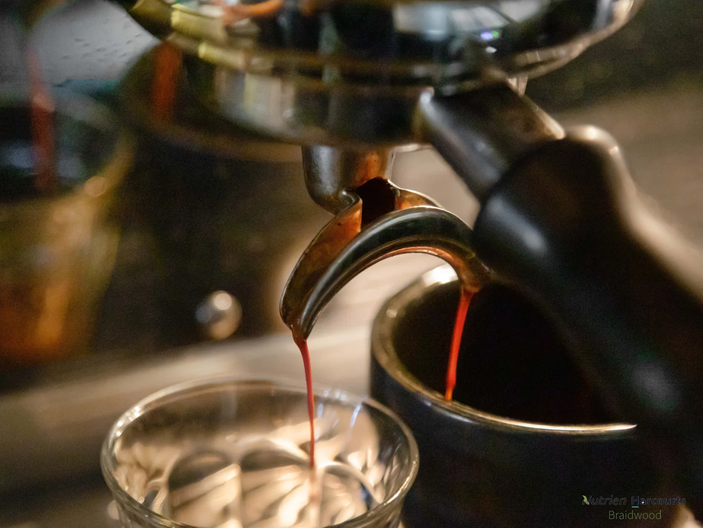 Additional image 20 of 103 Wallace, Braidwood NSW 2622