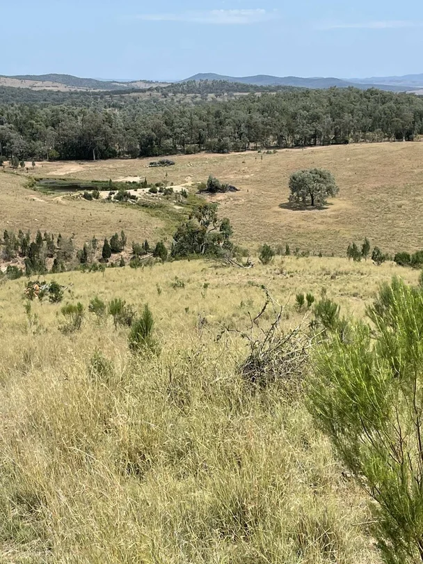 Additional image 3 of Lot 9 Silver Spur Redgate Road, Silver Spur QLD 4385