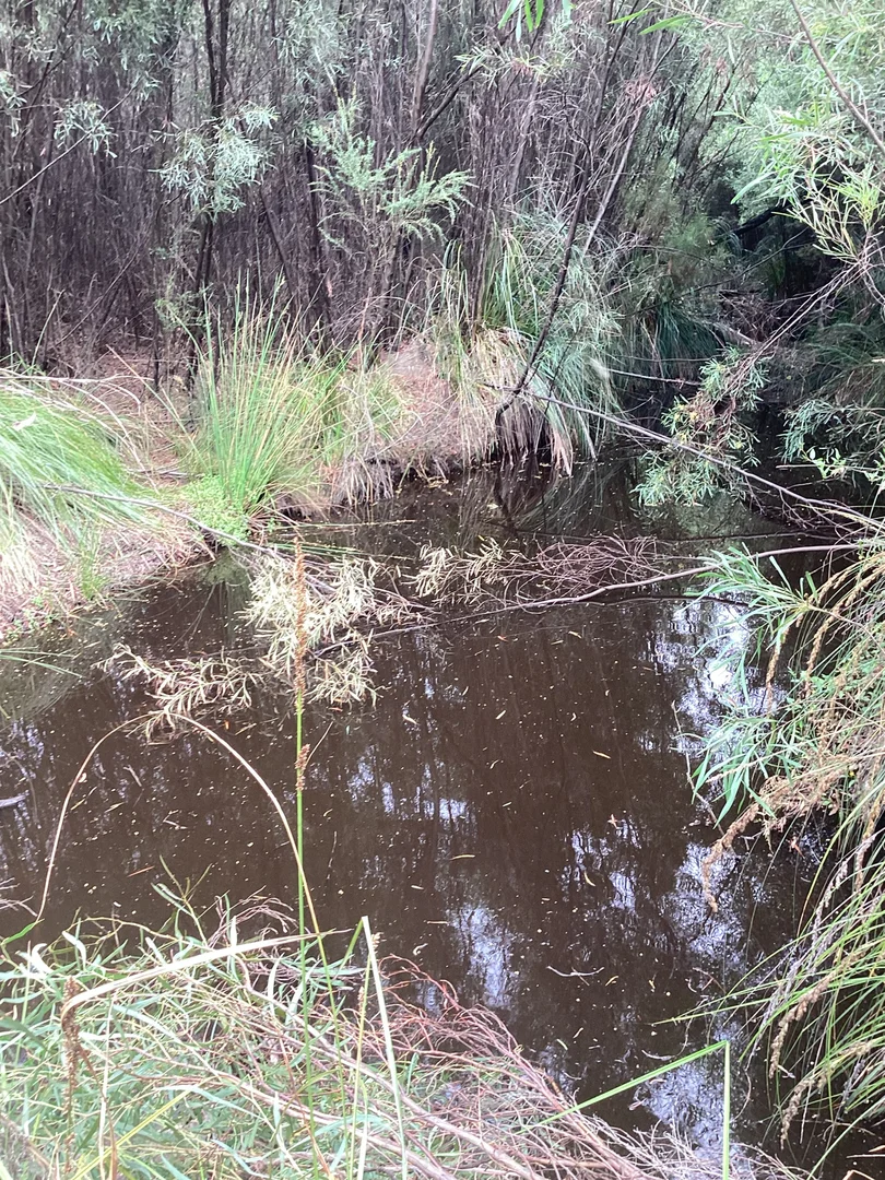 Additional image 45 of 157 Berrymans Road, Gosse SA 5223