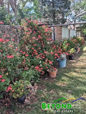 Additional image 17 of 836 Newell Highway, Gilgandra NSW 2827