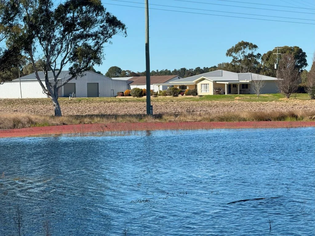 Additional image 4 of 79 Cottonvale School Rd, Cottonvale QLD 4375