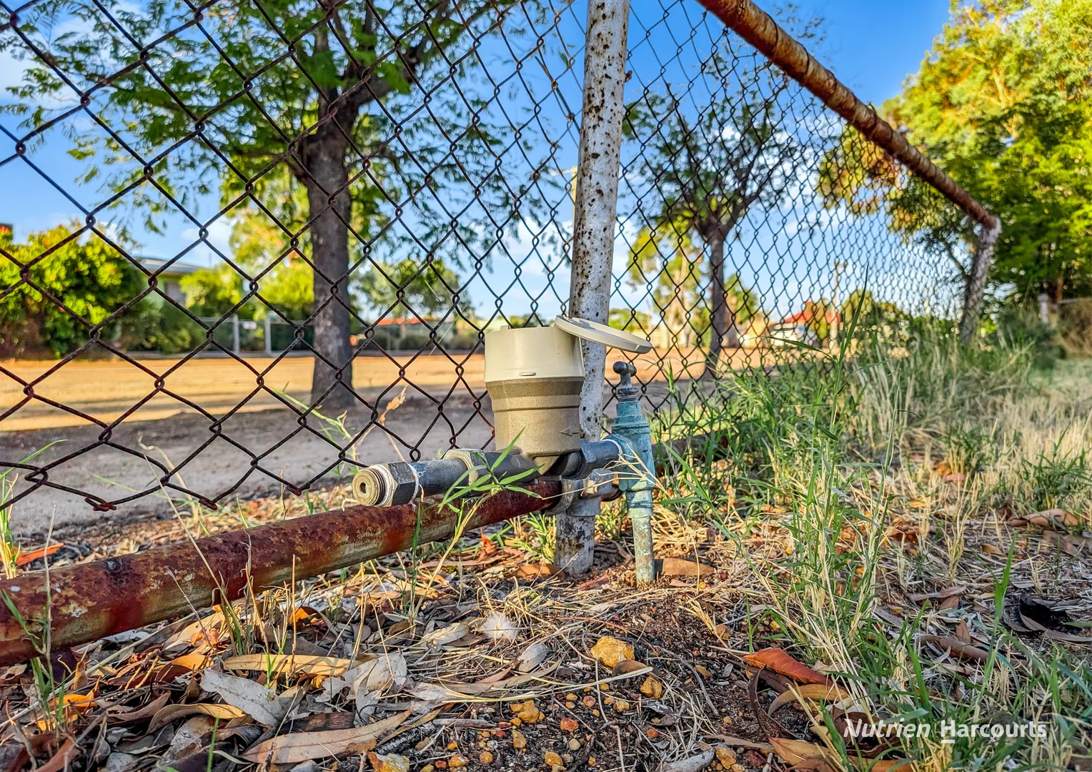 Additional image 3 of 68 Forrest Street, Kellerberrin WA 6410