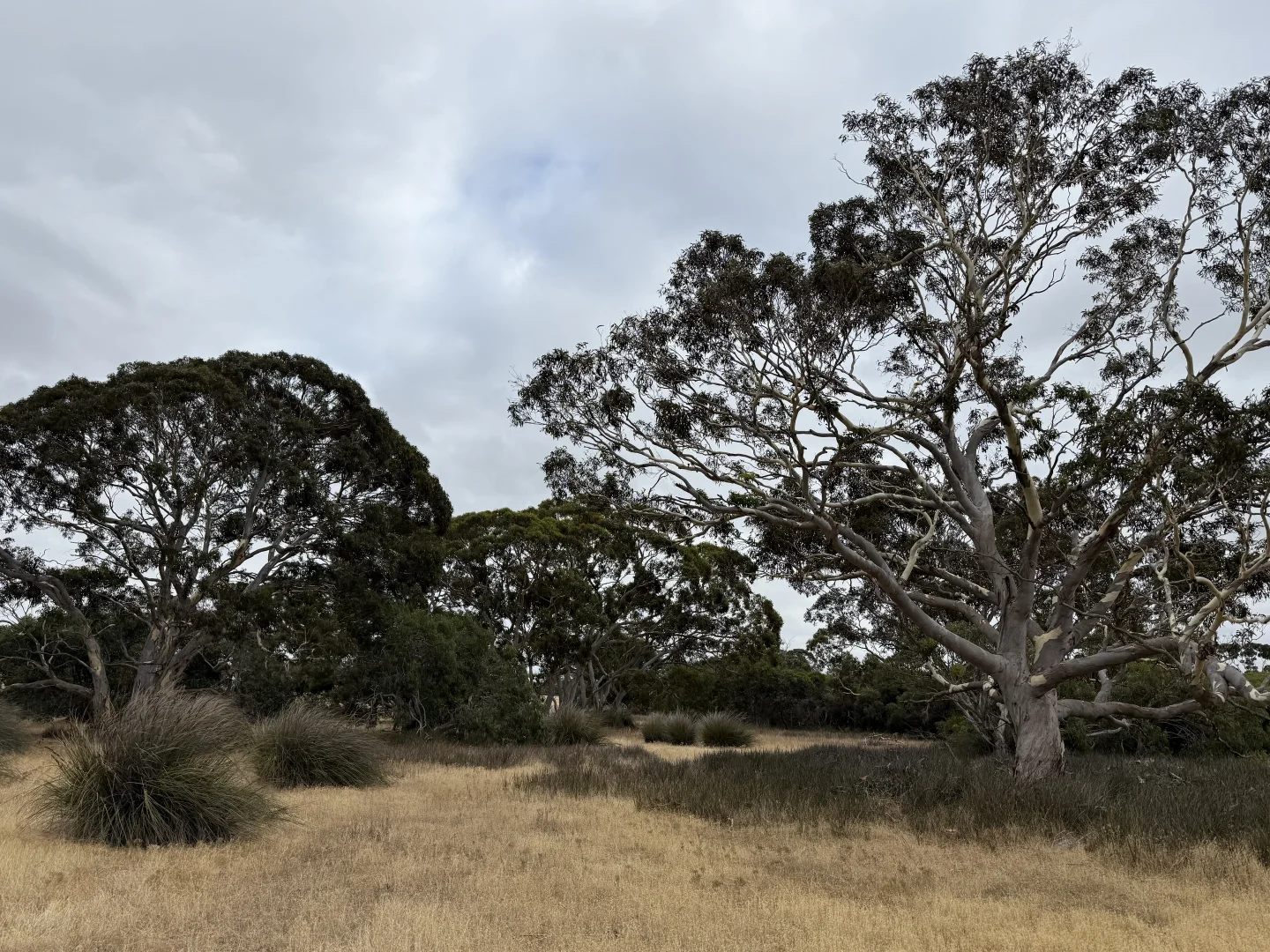 Additional image 12 of 490 East West Two Highway, Seddon SA 5223