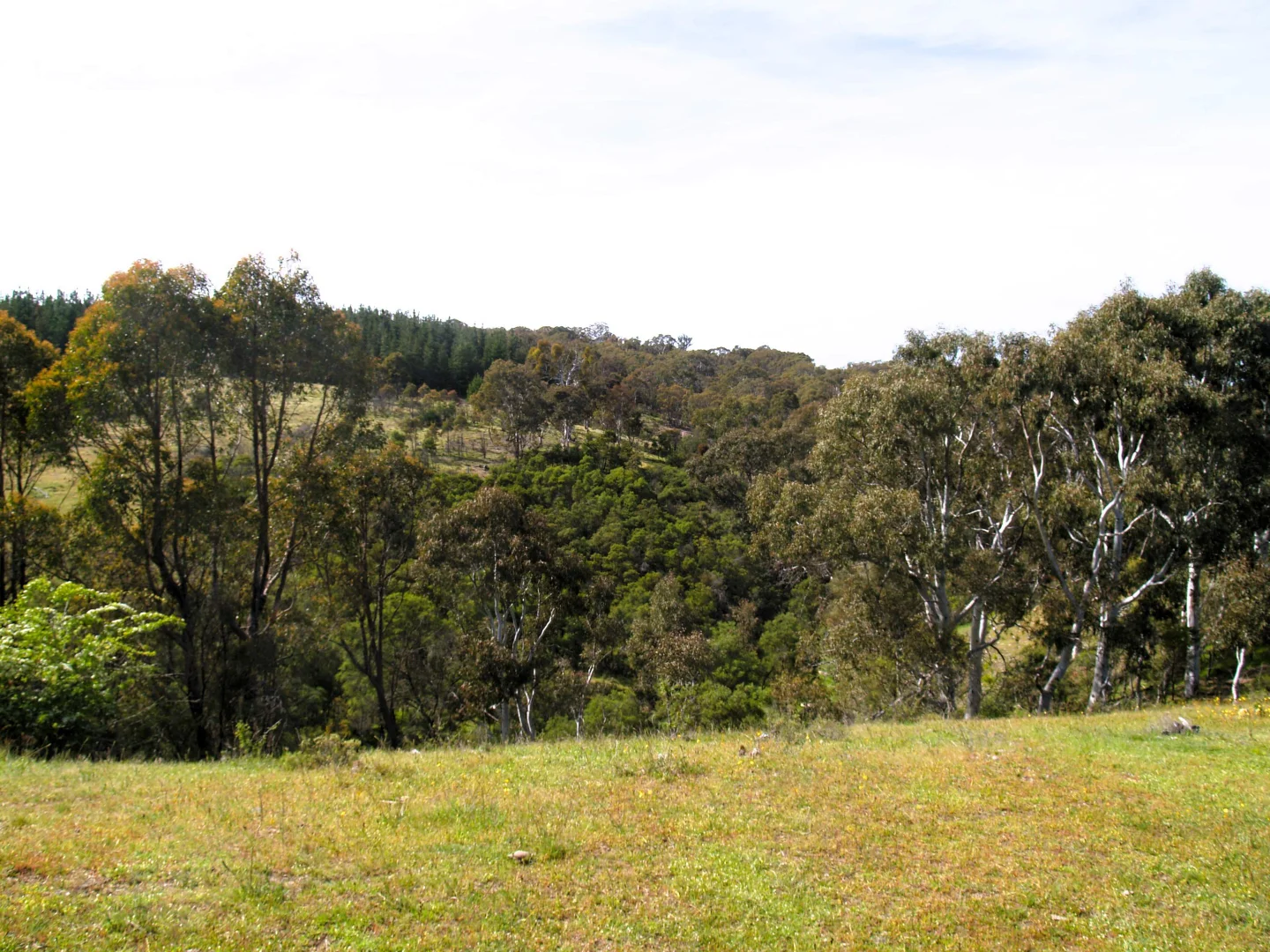 Additional image 4 of 198 Wurungul Lane, Gundaroo NSW 2620