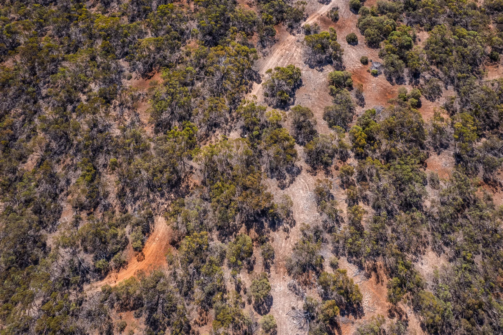 Additional image 15 of Lot 102 Green Road, Ettrick SA 5253