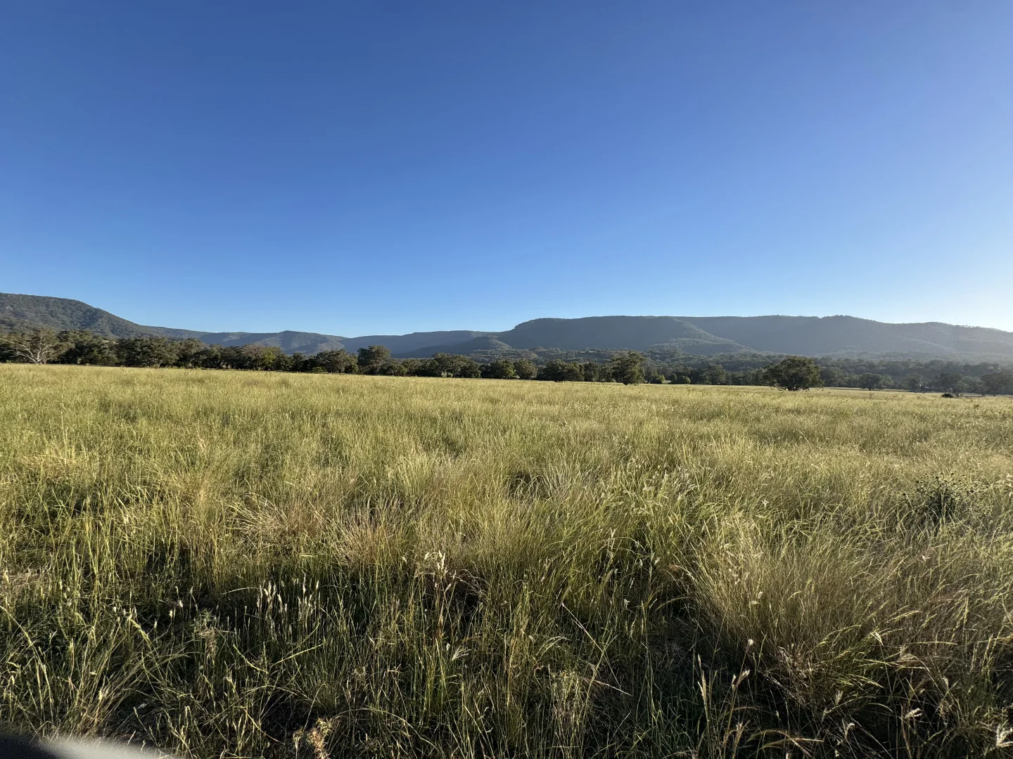 Additional image 7 of "Bindi" 1229 Bundella Creek Road Bundella Via, Quirindi NSW 2343