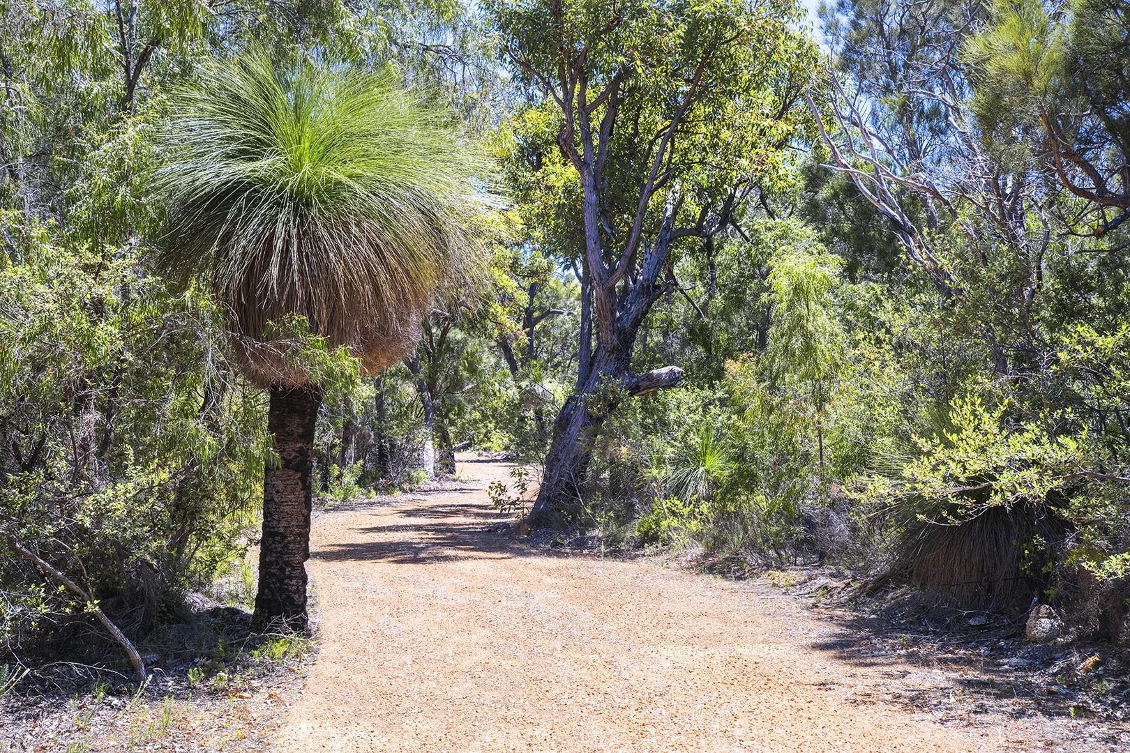 Additional image 7 of 72 Judd Road, Gracetown WA 6284