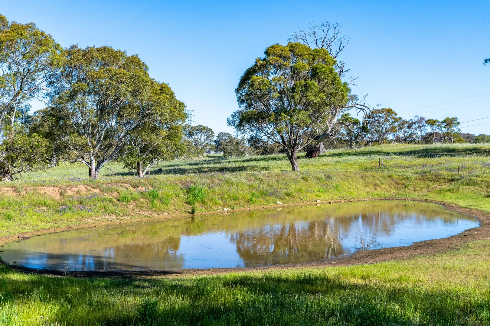 Additional image 30 of 312 Collins Road, Tungkillo SA 5236