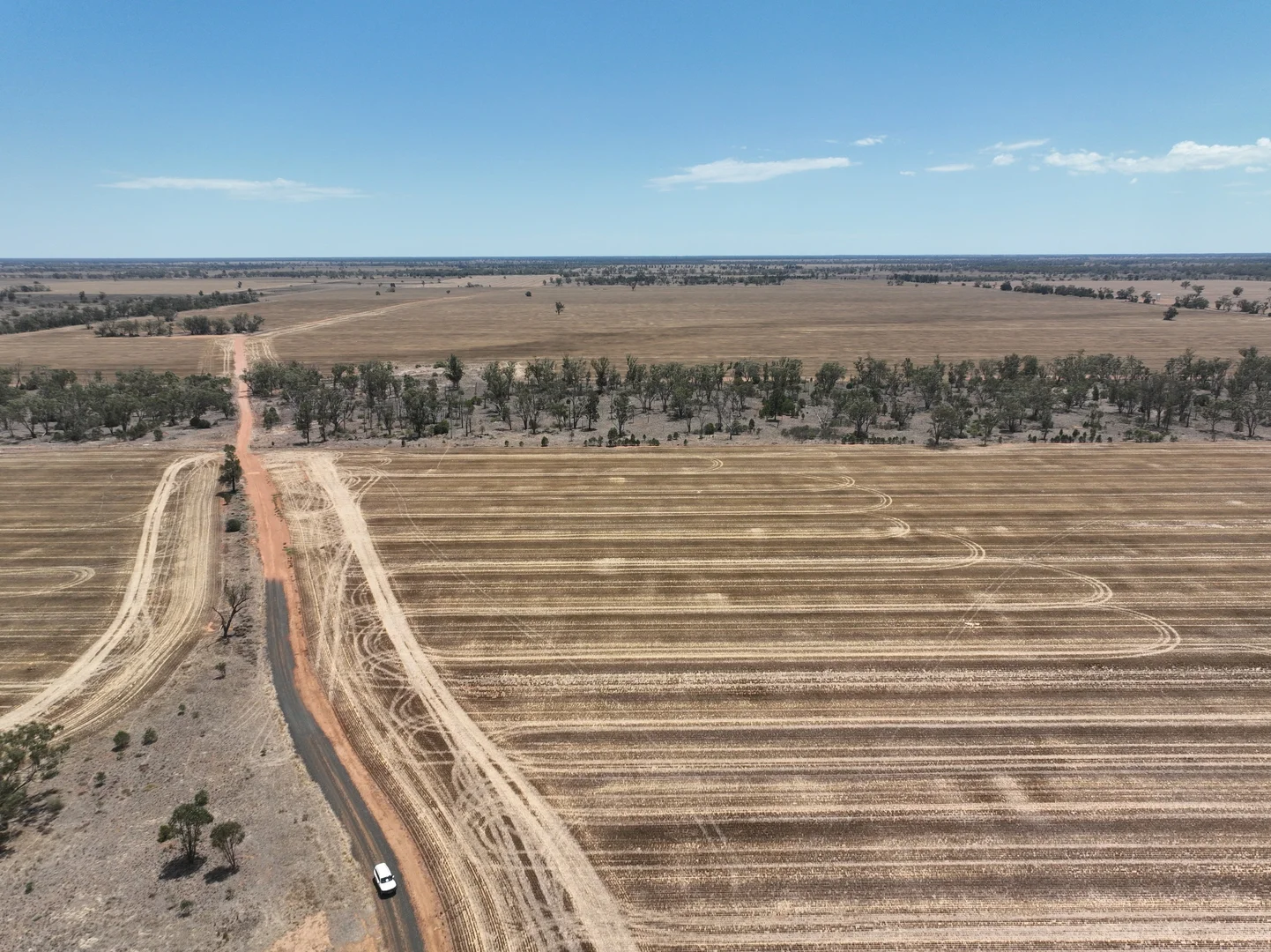 Additional image 20 of 'The Pines' 211 Dicks Camp Road, Collie NSW 2827