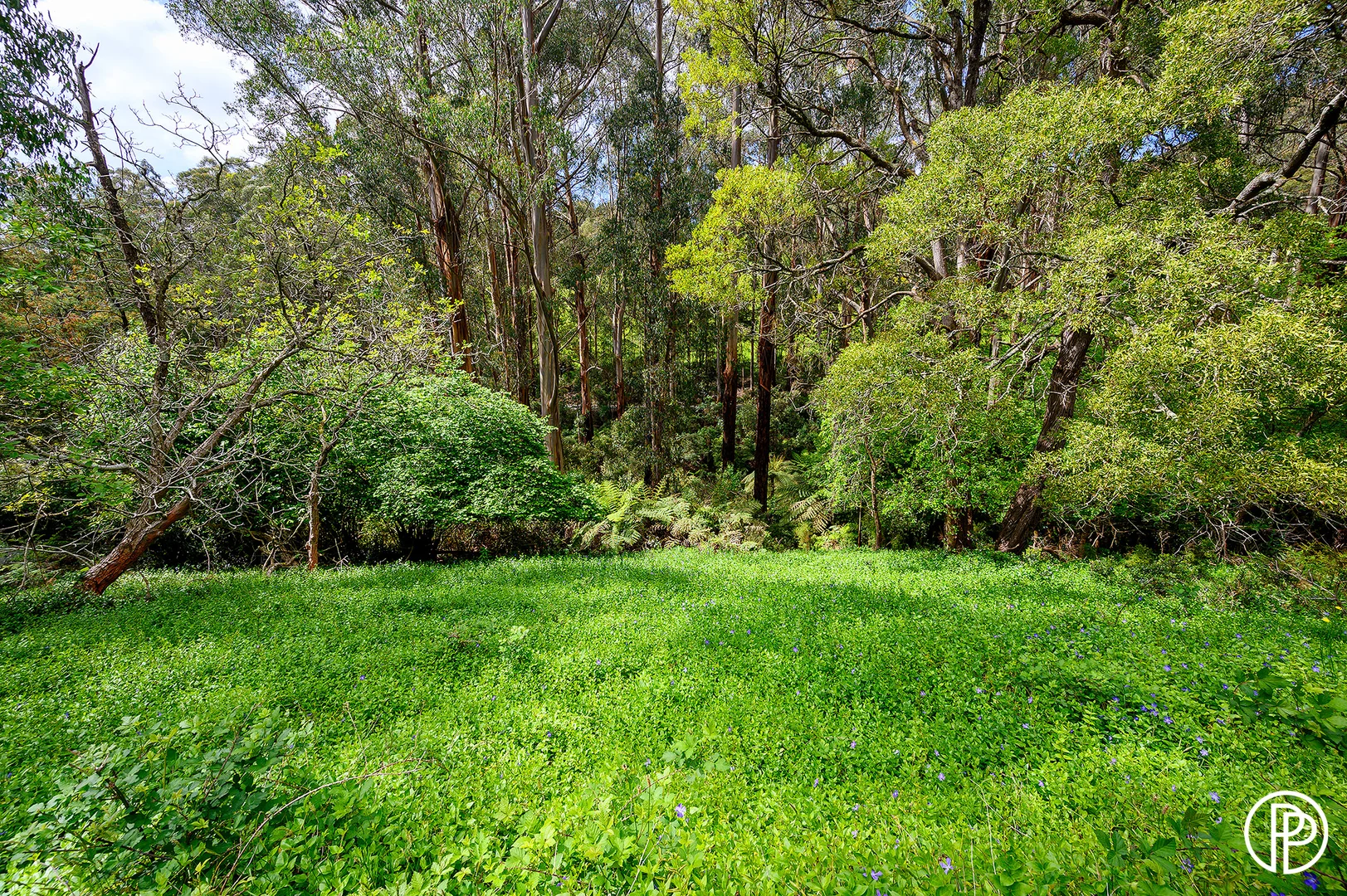 Additional image 10 of 330 Prices Road, Gladysdale VIC 3797